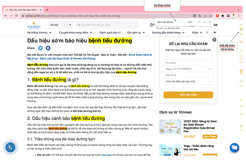 dịch vụ viết bài chuẩn SEO